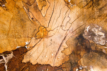 Similar image 10930086