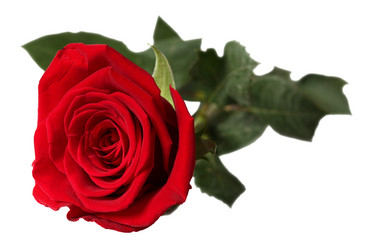 Similar image 10929888