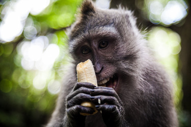 Similar image 10930034