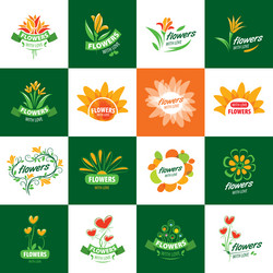 Similar image 10943586