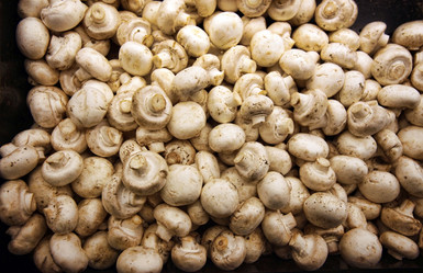 Similar image 10930259