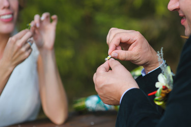 Similar image 10930167