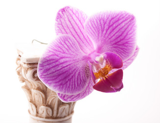 Similar image 10931768