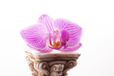 Similar image 10931771