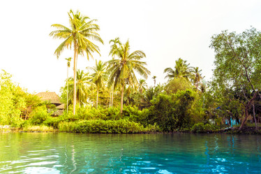 Similar image 10931774