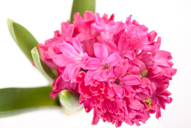 Similar image 10931777