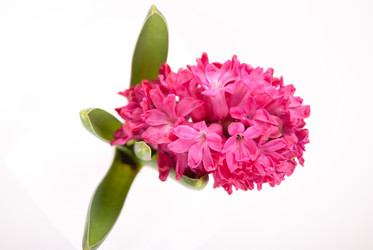 Similar image 10931784