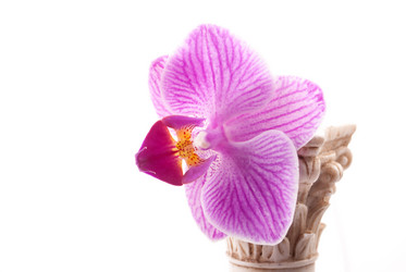 Similar image 10931786