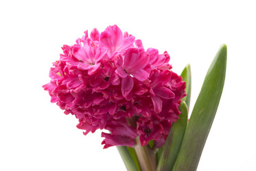 Similar image 10931788