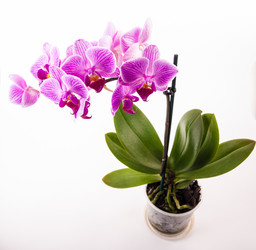 Similar image 10931791