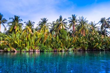 Similar image 10931792