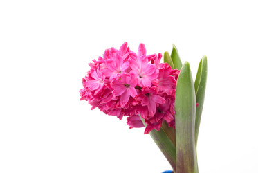 Similar image 10931794