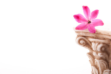 Similar image 10931795