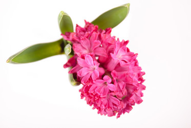 Similar image 10931808