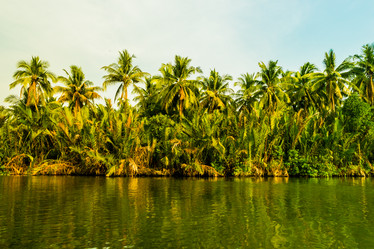 Similar image 10931811