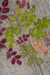 Similar image 10931822