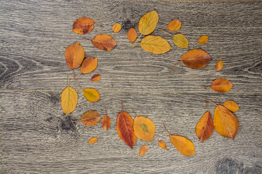 Similar image 10931825