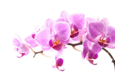 Similar image 10931833