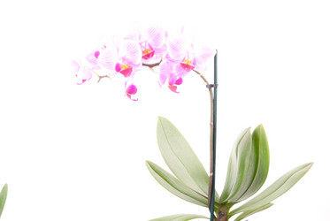 Similar image 10931834