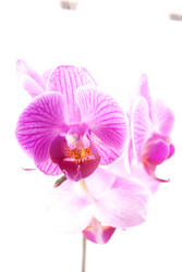 Similar image 10931835