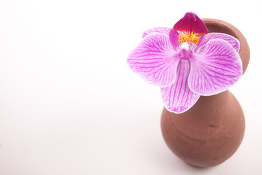 Similar image 10931853