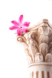 Similar image 10931854