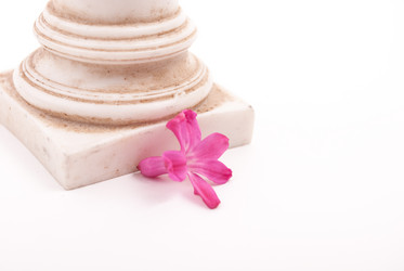 Similar image 10931861