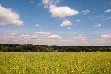 Similar image 10931868