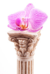 Similar image 10931872