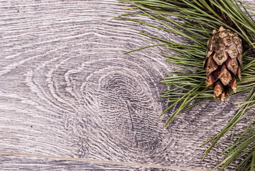 Similar image 10931781