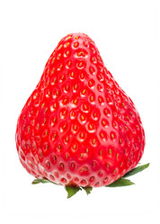 Similar image 10930273