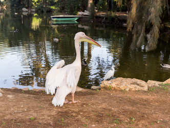 Similar image 10929898