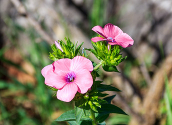 Similar image 10929936