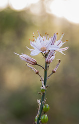 Similar image 10929937