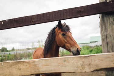 Similar image 10948092