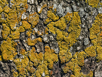 Similar image 10937417