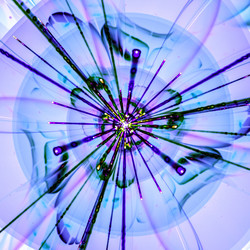 Similar image 10936902