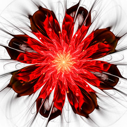 Similar image 10936906