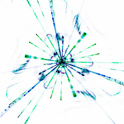 Similar image 10936867