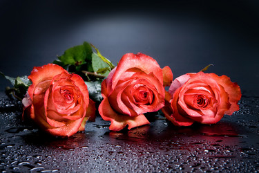 Similar image 10934863