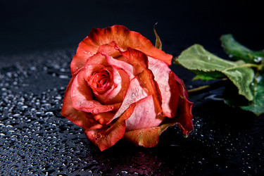 Similar image 10934864