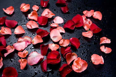 Similar image 10934866