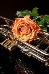 Similar image 10934779