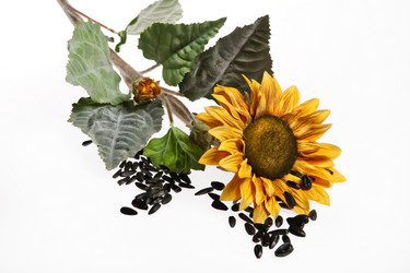 Similar image 10934787