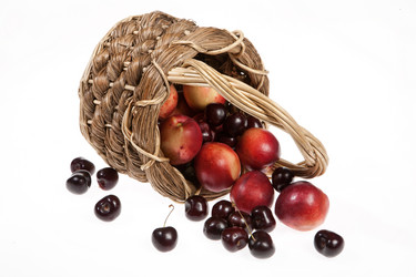 Similar image 10934807