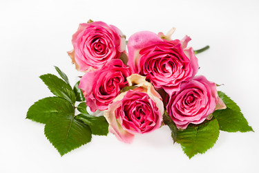 Similar image 10934833