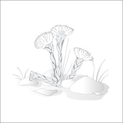 Similar image 10930892