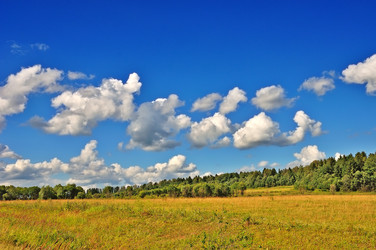 Similar image 10933249