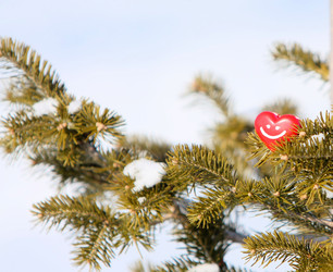 Similar image 10930878