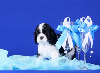 Similar image 10931878